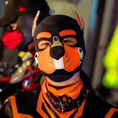 ybot2022sss's profile picture