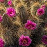 Фото профиля Bonnie Clark
