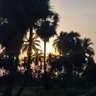 செட்டப் செல்லப்பா profil fotoğrafı