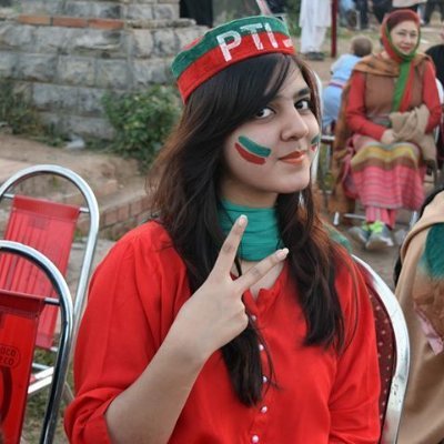 AreejPTI's profile picture