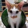 Фото профиля まーくんおがん