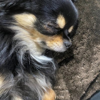 lX8OfDhubfECJkQ's profile picture