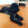 Charley S.'s profile picture