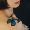 Profilbild von Fallen leaves