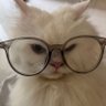.'s profile picture
