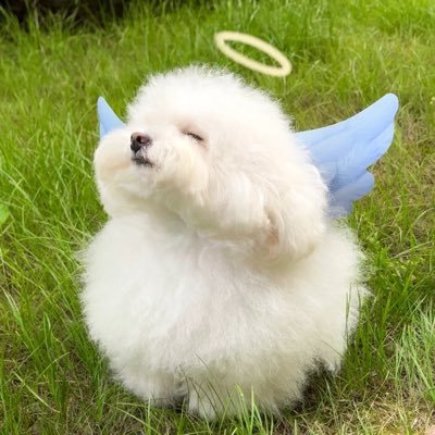 ihmilk1577011's profile picture