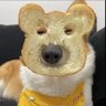 Profilbild von johnny
