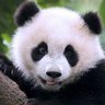 Verse 的头像