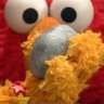 Rocco's profile picture