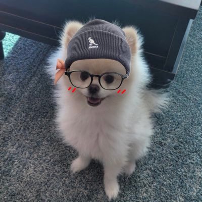 marueon's profile picture