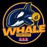Whale Pump Alert 的头像