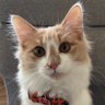 Profilbild von Andy