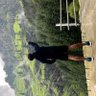 S A U R A B's profile picture