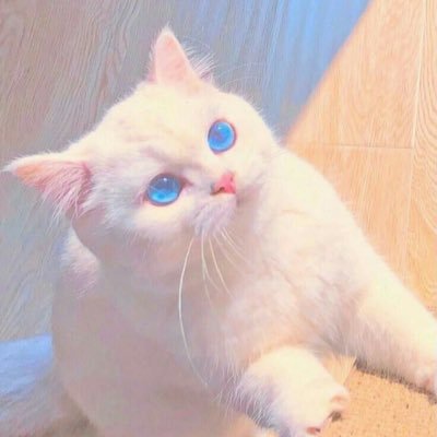 de_0112_es's profile picture