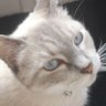 Profilbild von MARCOLAU