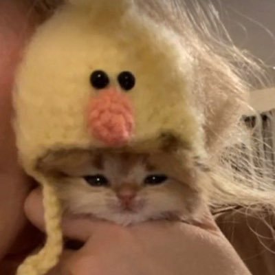 mamechurii's profile picture