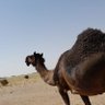 Фото профиля ابوعزوز العبدلي