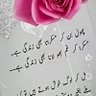Meer khan Khetran 的头像