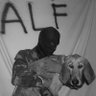 Profilbild von Animal Liberation