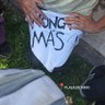 con la p de las o 的头像