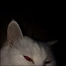 Profilbild von M