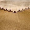 Agro 2024 profil fotoğrafı