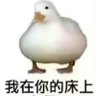 Profilbild von 无时无刻发情的猛T