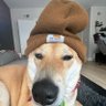 Sam B's profile picture