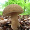Фото профиля にと