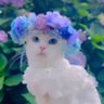 Фото профиля ふぃなんしぇ