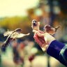 SAVANT profil fotoğrafı