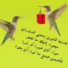 وصفي الحجاز profil fotoğrafı