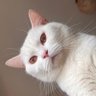 Nobady profil fotoğrafı
