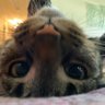 SxllxL profil fotoฤrafฤฑ