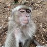 UnSinge's profile picture