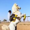 Sssdkh Hjjghb profil fotoğrafı