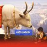 Фото профиля himanshu gupta