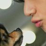 Pri💜Tae🇰🇷's profile picture
