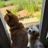 tori's profile picture
