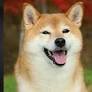 Edgars Pumpurs's profile picture