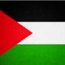 marwa's profile picture