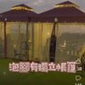 古來稀 profil fotoğrafı