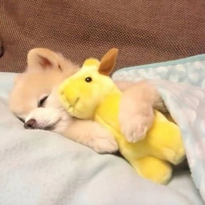 mo_tou82932's profile picture