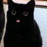 bos's profile picture