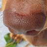 Tonkzul profil fotoğrafı