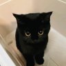 UserNameNotFound's profile picture