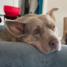 Фото профиля Martha - my dog says I’m cool