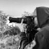 Carlos Almeida profil fotoğrafı