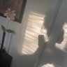 loriel's profile picture