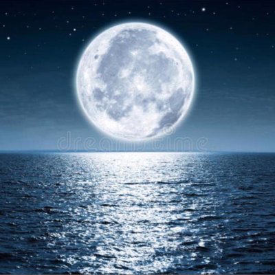 shillblez's profile picture